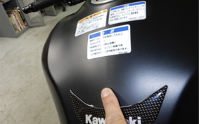 KAWASAKI Z900 Gen.2 2019 ZR900B