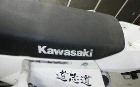 KAWASAKI KLX250 Gen.2 LX250S