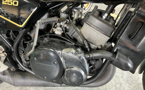 YAMAHA RZ 250 4L3