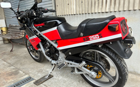 KAWASAKI KR250S KR250A