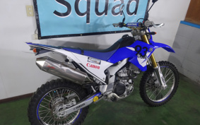 YAMAHA WR250R DG15J