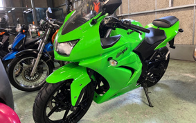 KAWASAKI NINJA 250R EX250K
