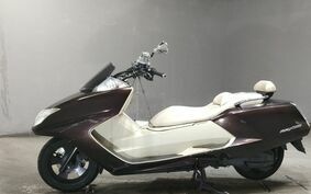 YAMAHA MAXAM 250 SG21J