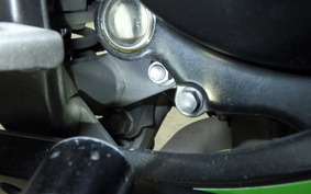 KAWASAKI NINJA 250 ABS EX250L