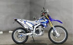 YAMAHA WR250R DG15J