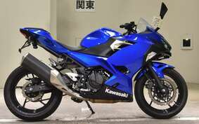 KAWASAKI NINJA 250 EX250P