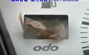 YAMAHA JOG-4