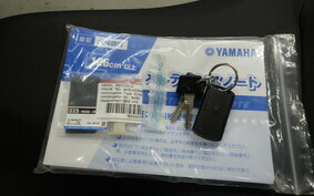 YAMAHA TRICITY 300 2020 SH15J