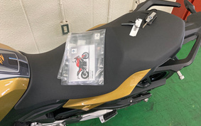 BMW F900XR STANDARD 2020 0K21