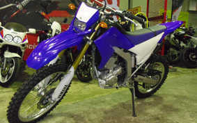 YAMAHA WR250R 2009 DG15J