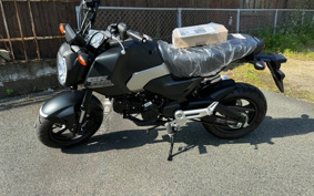 HONDA GROM JC92