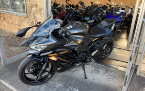 KAWASAKI NINJA ZX-25R SE ZX250E