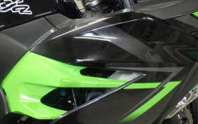 KAWASAKI NINJA 400 2019 EX400G