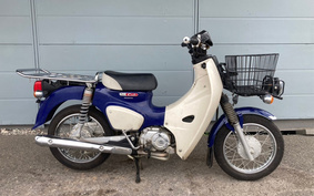 HONDA C110 SUPER CUB PRO JA42