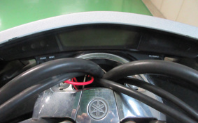 YAMAHA MAXAM250 SG21J