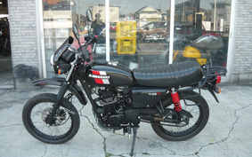 KAWASAKI W175 TR BJ175C