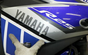 YAMAHA YZF-R25 RG10J