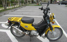 HONDA CROSS CUB 110 JA10