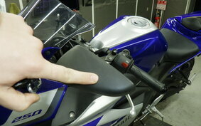 YAMAHA YZF-R25 A RG10J