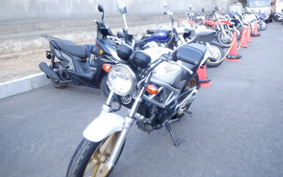 HONDA VTR 250 MC33