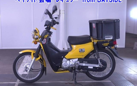 OTHER CC110