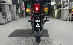 HONDA CROSS CUB 110 JA45