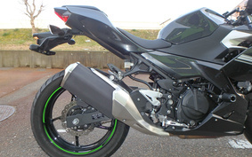 KAWASAKI Ninja 250 ABS EX250P