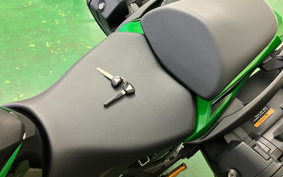 KAWASAKI NINJA 1000 SX 2020 ZXT02K