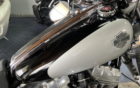 HARLEY  HARLEY FXCW 2009 JJ5