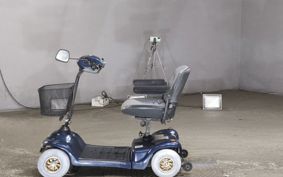 OTHER MINI BIKE ..