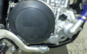 YAMAHA WR250X DG15J