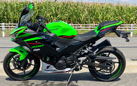 KAWASAKI NINJA 400 2022 EX400G