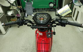 HONDA CROSS CUB 110 JA45