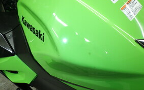 KAWASAKI NINJA 250 EX250P