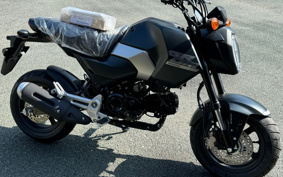 HONDA GROM JC92