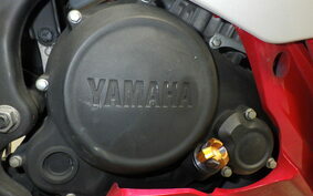 YAMAHA YZF-R15