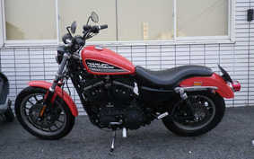 HARLEY XL883R 2005 CKM