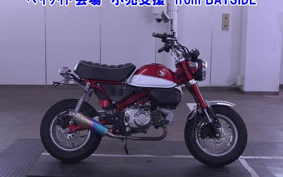 OTHER  MONKEY 125