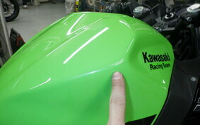 KAWASAKI NINJA 400 2021 EX400G