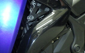 YAMAHA YZF-R25 RG10