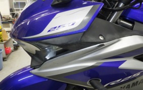 YAMAHA YZF-R25 RG10J