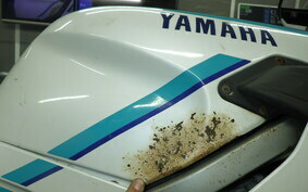 YAMAHA FZR250 2KR