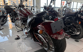 HARLEY  HARLEY FXCWC 2009 JK5