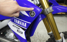 YAMAHA WR250R DG15J