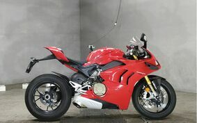 DUCATI PANIGALE V4 S 2021 1D00AA
