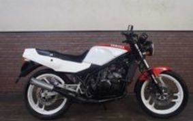 YAMAHA RZ250R 29L