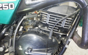 SUZUKI TS250 TS2504