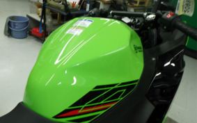 KAWASAKI NINJA 400 2023 EX400L