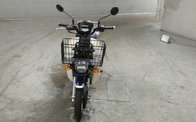 HONDA C110 SUPER CUB PRO JA61