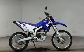 YAMAHA WR250R DG15J